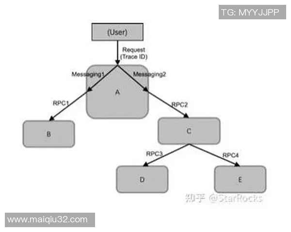北京网球队进攻体系的战术解析与实践探讨