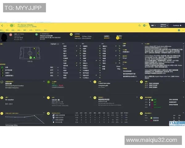 英超羽毛球评论南京羽毛球队战术调整与成绩变化分析