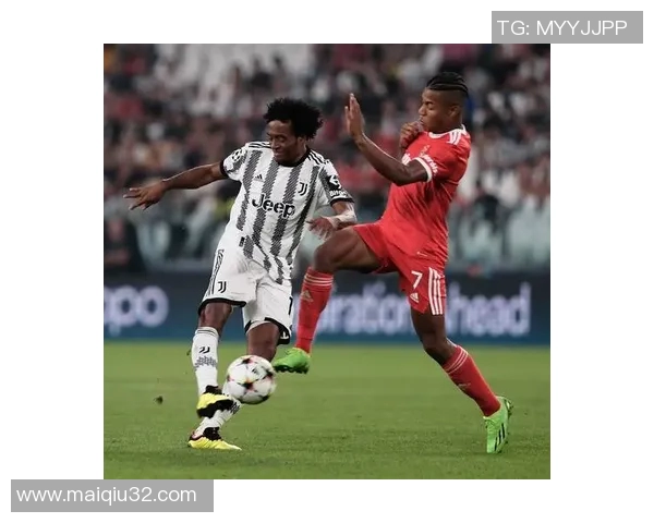 热议杭州排球队速度变革与欧冠足球的精彩对比与启示