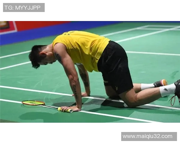 重庆羽毛球队技术深度解析与训练方法探讨