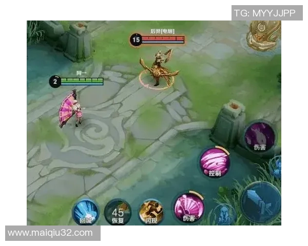 杨丽专访：深入探讨王者荣耀的成长与未来发展之路实时数据